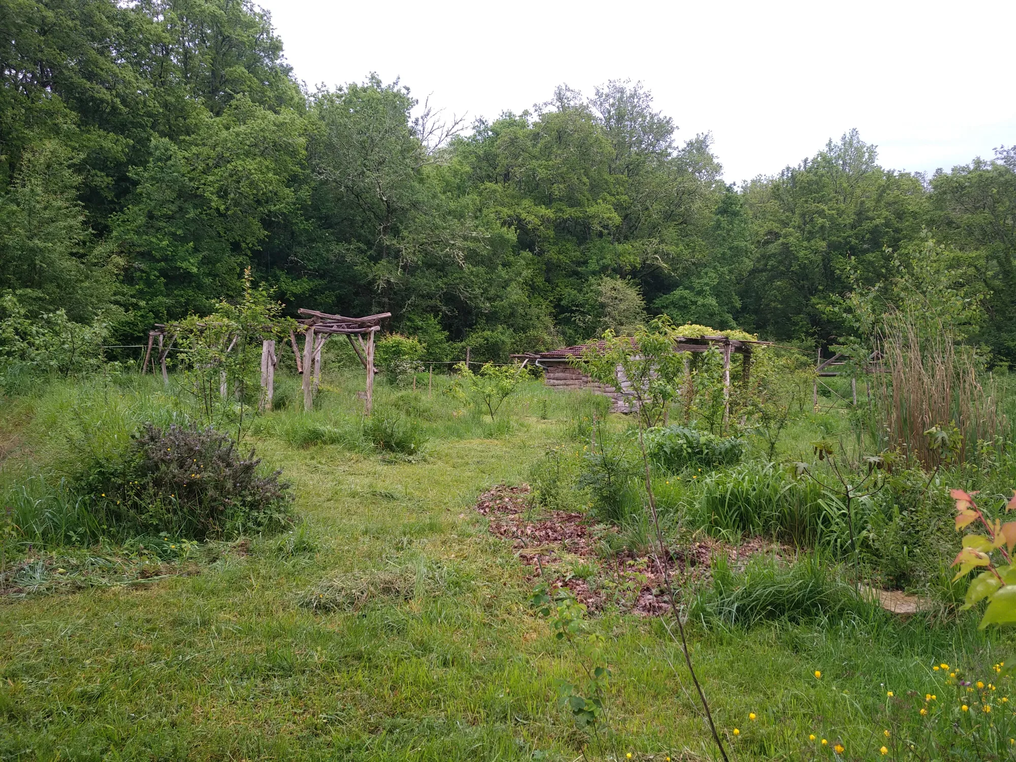 Cahors - Lot